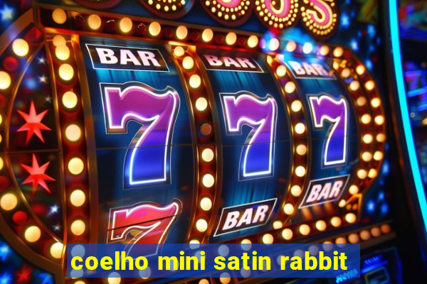 coelho mini satin rabbit